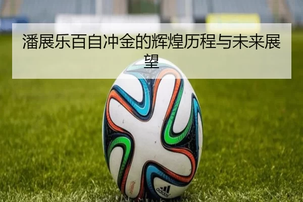 潘展乐百自冲金的辉煌历程与未来展望